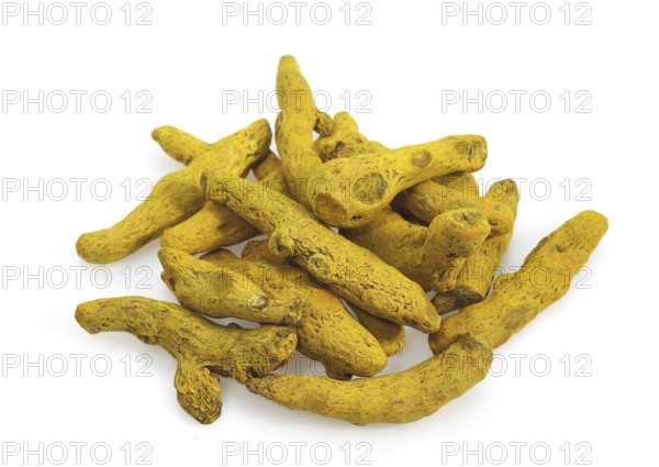 Turmeric, Kurkume, Yellow Ginger, Saffron Root, Turmeric, Ginger family, TURMERIC ROOT, AN INDIAN