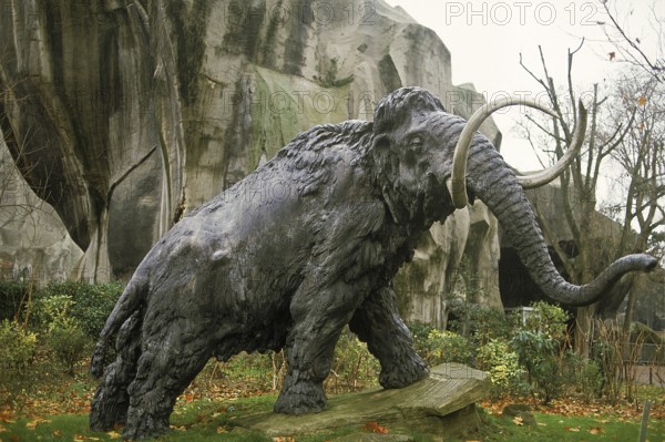 Woolly mammoth (mammuthus primigenius), Woolly mammoth Furry Mammoth, Mammoth, extinct, elephants,