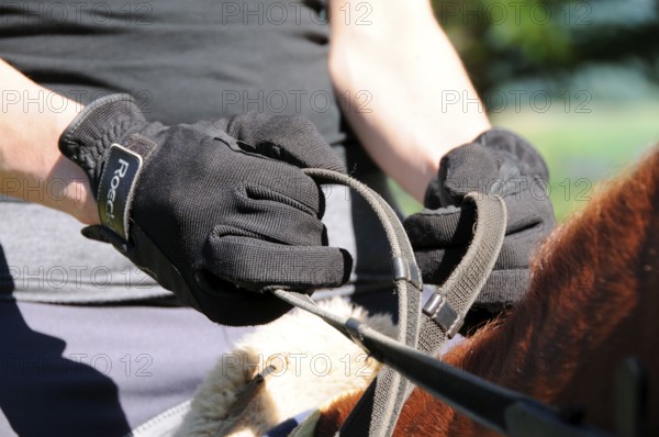 Hands hold reins, riding gloves
