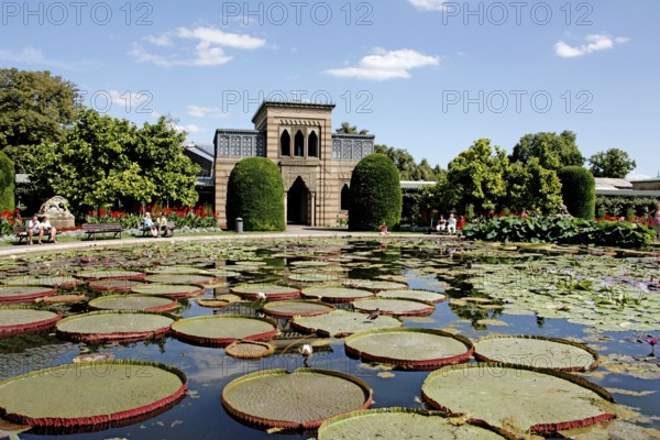 Water lily pond, former bathhouse, zoological-botanical garden Wilhelma, Stuttgart-Bad Cannstadt,