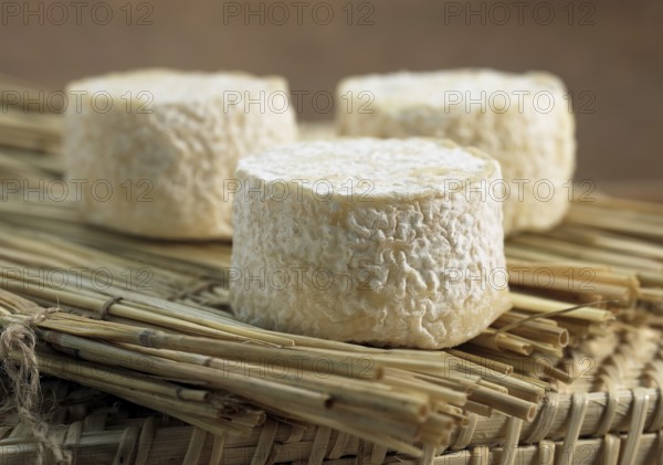 French cheese called Crottin, cheese made from goat's milk