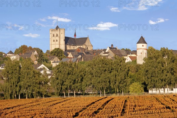 Collegiate Church of St. Martin and St. Severus, Eulenturm, Münstermaifeld, Rhineland-Palatinate,