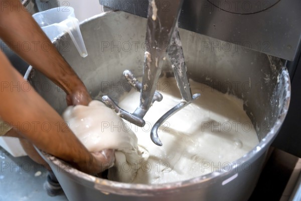 Baker of bakery in the workshop of artisan bakery preparing the sourdough to make the buns