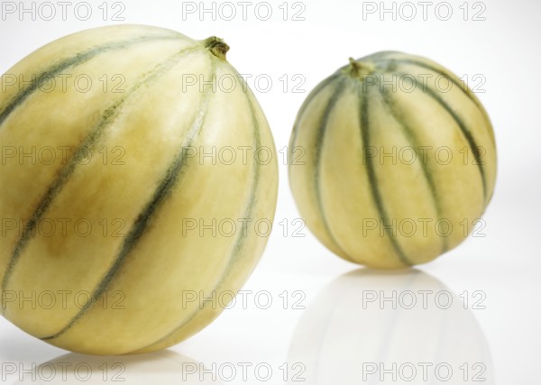 Cavaillon Melon (cucumis melo), Fruits on White Background
