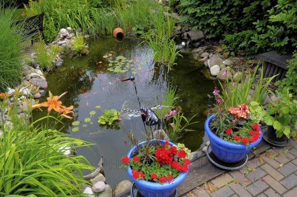 Garden pond with goldfish