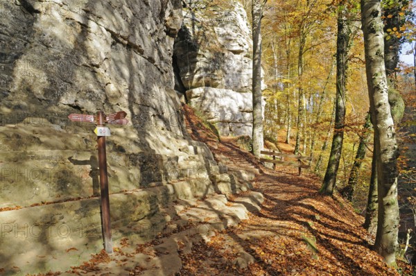 Hiking trail, Hiking area, Mullerthal, Little Luxembourg Switzerland, Municipality of Mullerthal,