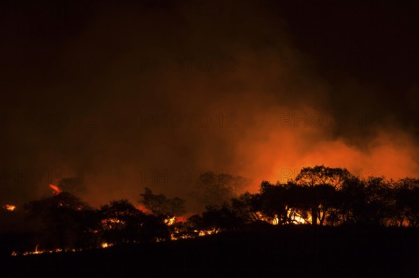 Bushfire, KwaZulu-Natal, South Africa, Fire, Africa
