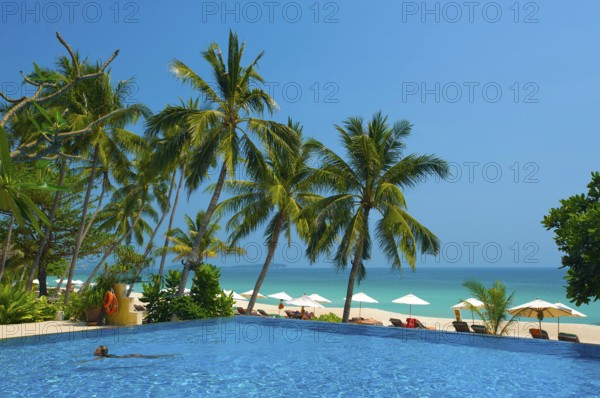Hotel pool at Chaweng Beach, Ko Samui Island, Thailand, Southern Thailand, Resort, Asia