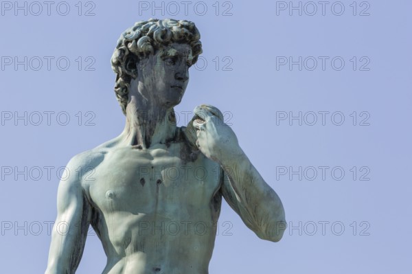 Statue of David, located in Micheal Angelo Park Florence, Italy, Europe