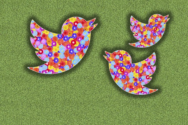 Twitter X logo with flower design on green background, illustration, graphic, floral pattern,