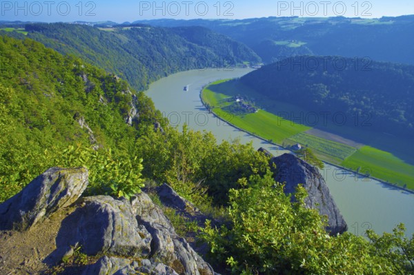 Schlögener Schleife of the Danube, view from Steinerner Felsen near Mannsdorf, Upper Austria,