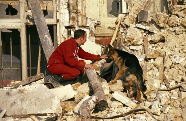 German Shepherd Dog at a Disaster Dog Training Course