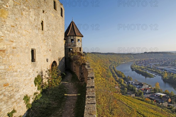 Inner ward, Castle Hornberg, Neckarzimmern, Baden-Wurttemberg, Germany, Europe