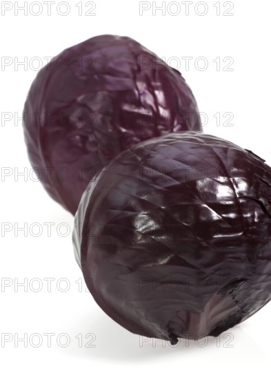 Red Cabbage (brassica) oleracea, Vegetable against White Background