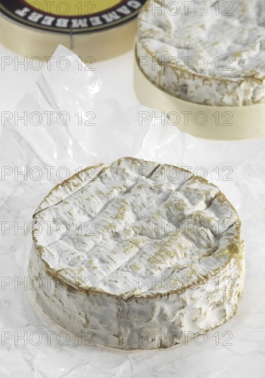Camembert, French cheese made from cow's milk from Normandy