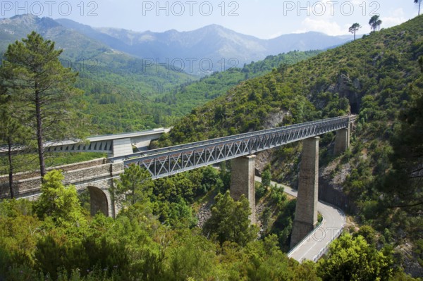 Bridges, Pont du Vecchio, Corsica, France, railway bridge by Gustave Eiffel, Europe