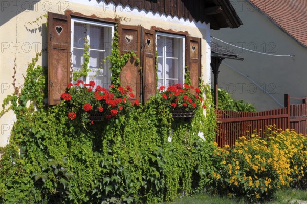 Austria, Wachau, Krems, country garden, perennial garden in bloom, small house with flowering