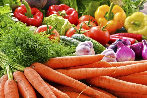 Composition with variety of fresh organic vegetables