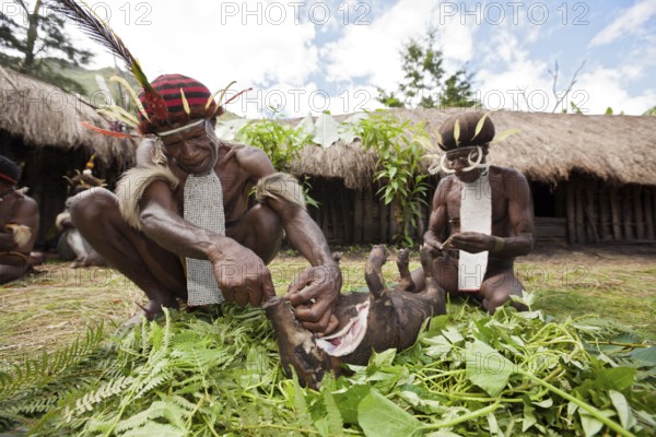 Dani Maenner cutting up a pig at a pig festival, Baliem Valley, West Papua, Indonesia, Asia