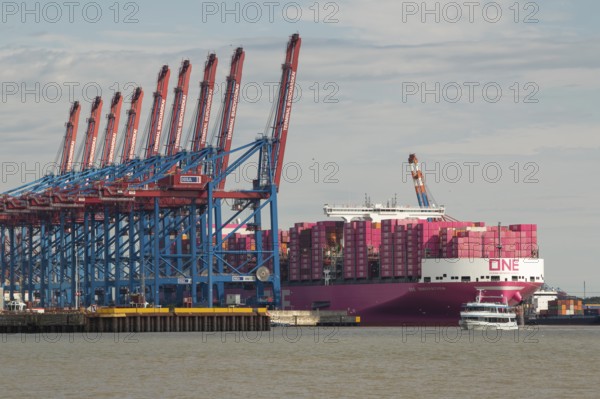Pink container freighter One Innovation of the shipping company Ocean Network Express (Europe) Ltd.
