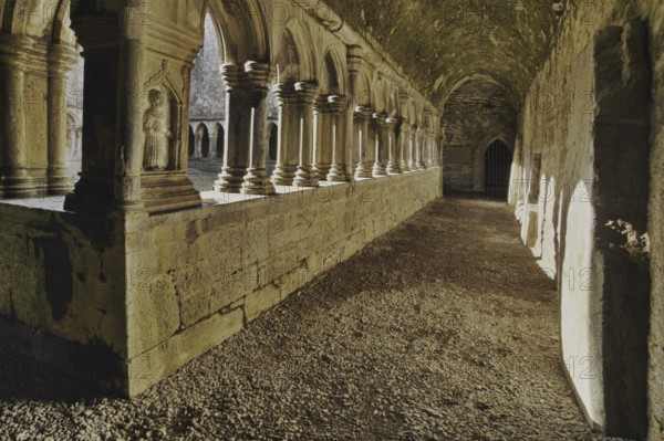 Cloister, Askeaton Abbey, former Franciscan monastery, County Limerick, Ireland, Europe