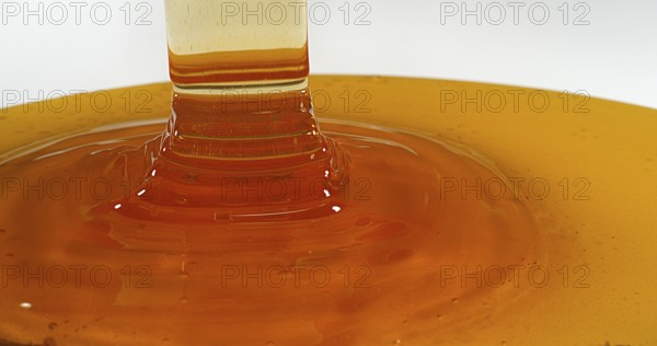 Honey Flowing against White Background