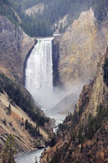 Lower Falls, Yellowstone River, Grand Canyon of the Yellowstone, Yellowstone National Park,