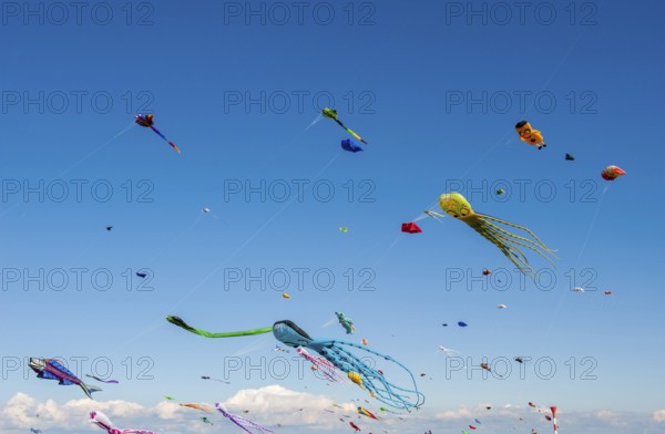 Kites in the sky at the Elbe Beach Festival 2022 in Otterndorf, Cuxhaven District, Lower Saxony,