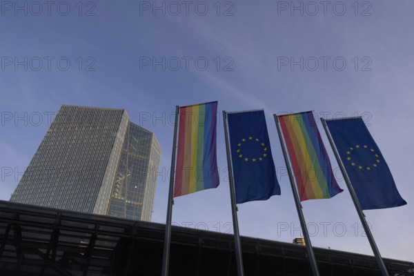 Two rainbow flags and two European flags fly alternately in front of the entrance area of the