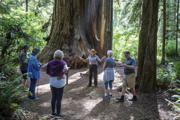 Crescent City, California - A National Park Service ranger leads visitors on a hike among the