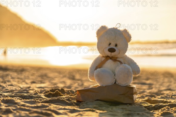 A teddy bear is sitting on a rock on a beach. The sun is setting in the background, creating a warm