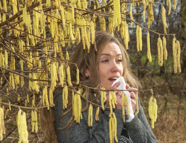Young Caucasian woman with allergy problem stands by flowering hazel bush and sneezes into a