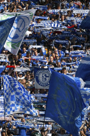 Veltins Arena Gelsenkirchen, 1.9.2024, 2nd Bundesliga season 2024/25 4th matchday, Schalke 04 (S04)