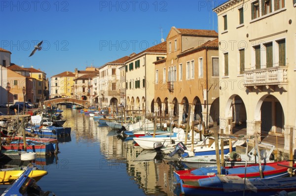 Fishing Boats on Riva Vena canal - Chioggia - Venice - Italy, Chioggia, Veneto Region, Italy,