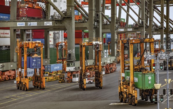 Straddles and Cranes Moving Shipping Containers, Container Shipping Yard, Port of Elizabeth,