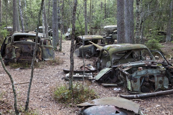 Car cemetery of Kyrkoe Mosse, Ryd, Tingsryd, Kronoberg County, Sweden, Europe