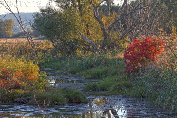 Lower Oder Valley National Park