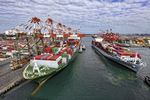 Super Post Panamax Container Ship Loading, Port of Elizabeth, Newark, New Jersey, USA, North