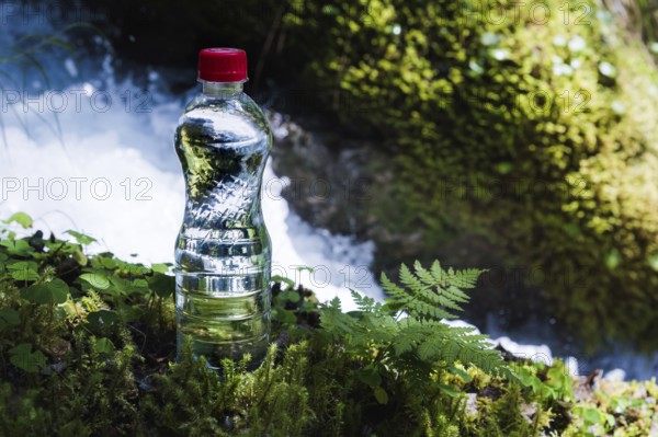 Transparent plastic A bottle of clean water with a red lid stands in the grass and moss on the