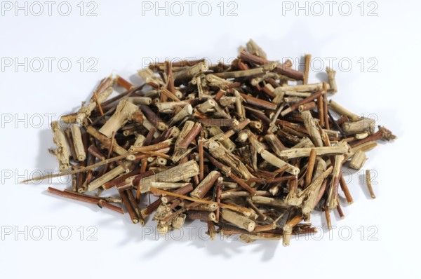 Honeysuckle stem (Lonicerae Caulis), Ren Dong Teng, honeysuckle stem, honeysuckle stalk, exemplar,