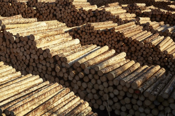 Hasslacher Norica Timber sawmill and pellet plant, Sachsenburg, Carinthia, Austria, Europe