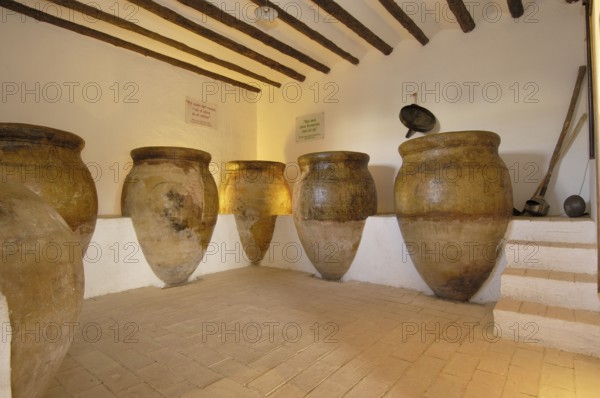 Tinajas clay jugs, Olive Culture Museum, near Baeza, Jaen, Andalusia, Spain, Olive Museum, Museo de