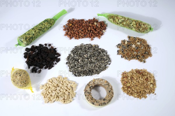 Bird food for winter feeding, titmouse dumplings, titmouse ring, various seeds, sunflower seeds,