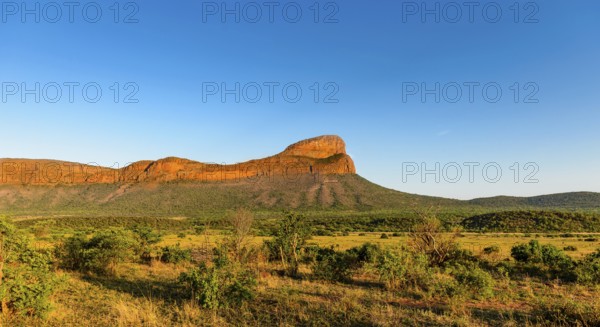 Vast savannah landscape with a striking mountain under a clear blue sky, Waterberg, Limpopo, South