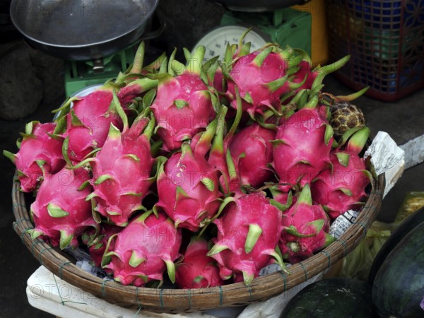 Vietnam, Quang Nam Province, Hoi An City, Old City listed at World Heritage site by Unesco, the