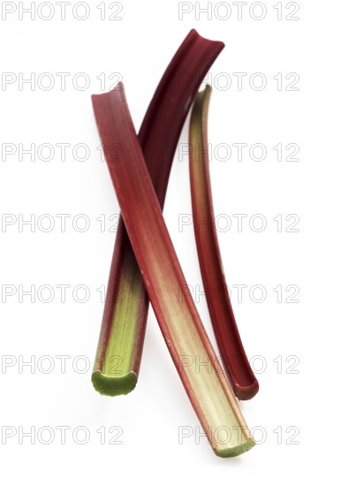 Rhubarb (Rheum rhabarbarum), vegetable rhubarb, curly rhubarb, knotweed, rhubarb against white