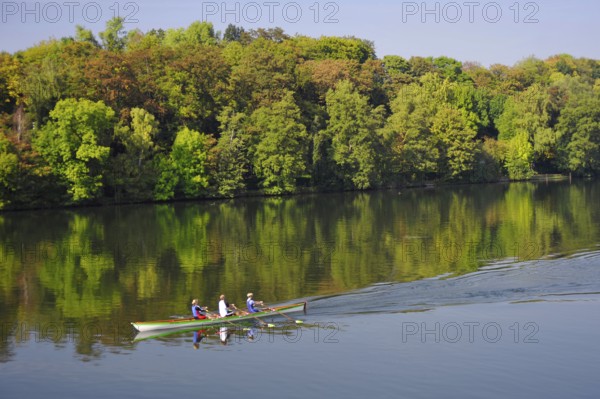 Rowers on Lake Baldeney, Essen-Kupferdreh, Ruhr Area, North Rhine-Westphalia, Germany, Europe