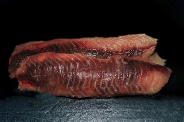 Trimmed fillets of grass carp (Ctenopharyngodon idella), also known as white Amur, wild catch from