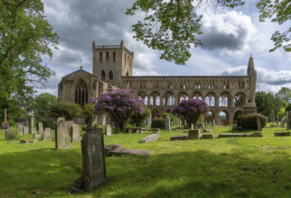 Jedburgh, United Kingdom - 18 June, 2022: view of the Augustinian Jedburgh Abbey ruins and cemetery