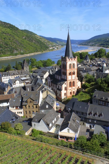 Rhine Valley, Bacharach, World Heritage Cultural Landscape Upper Middle Rhine Valley,